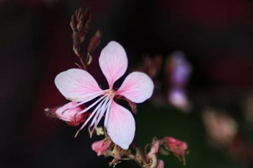 Micro waterfall-beautiful.jpg