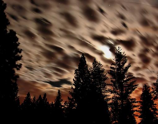 NIght Sky Shot-night-sky-1-.jpg