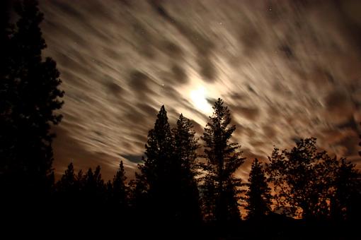 NIght Sky Shot-night-sky-2-.jpg