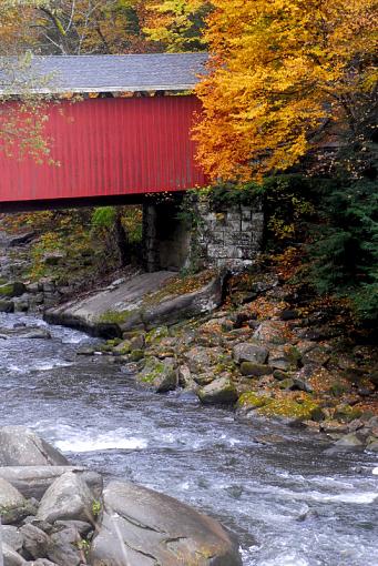 Covered Bridge in fall-1dyl_7874.jpg