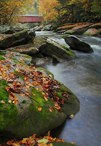 Covered Bridge in fall-1-dyl_7830-edit-small.jpg