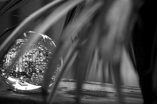 &quot;Raindrop&quot; in Black &amp; White-raindrop.jpg