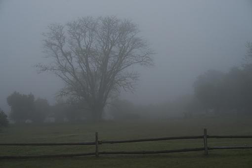 pictures of the mist-mrnng-mst-mclr-_dsc4573r.jpg