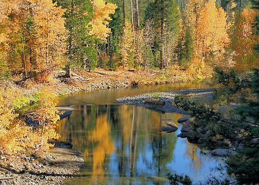 Fall Reflection-newimg_0189.jpg