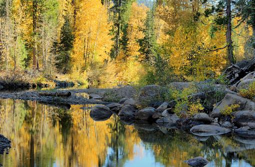 Fall Reflection-newimg_0327.jpg