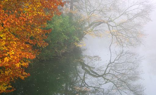 Autumn Morning in the Fog-autumn-morning.jpg