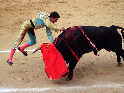 Bull Fighting in Madrid-20090916_223.1.jpg