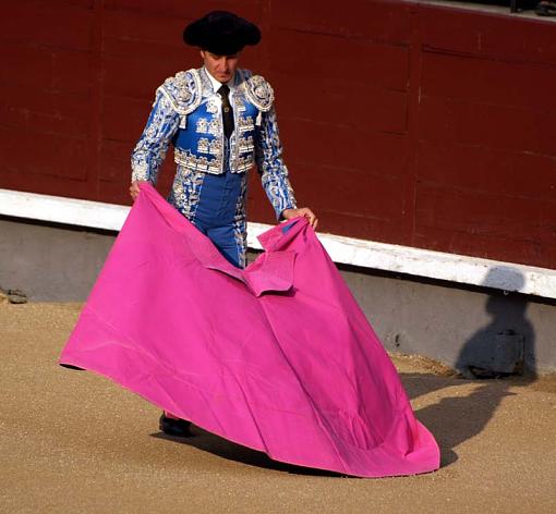 Bull Fighting in Madrid-20090916_164.jpg