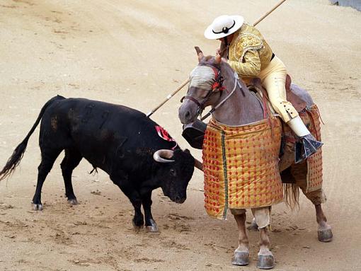 Bull Fighting in Madrid-20090916_189.1.jpg