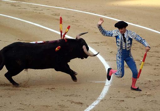 Bull Fighting in Madrid-20090916_198-1.jpg