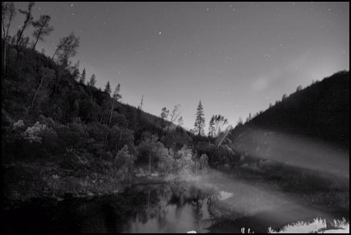 In the dark river reflection-3.jpg