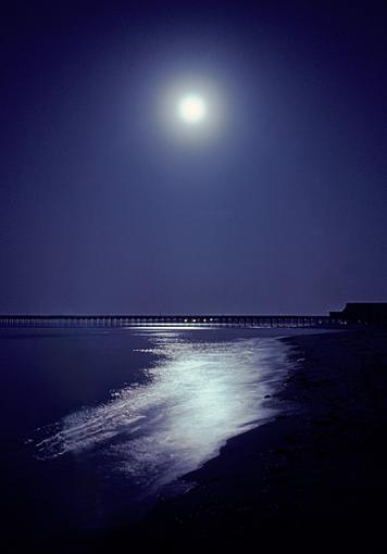 Nightlight-nightlightnl.jpg