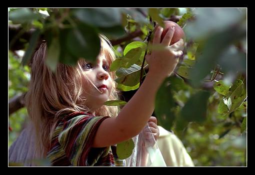 It's apple picking season again. That means pics of kids and apples...-apple.jpg