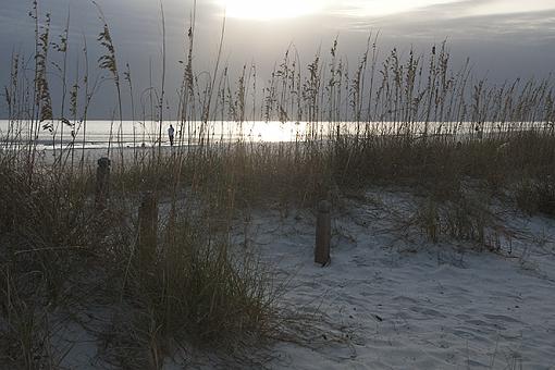 Sunset through the Sea Oats-dsc_2739.jpg