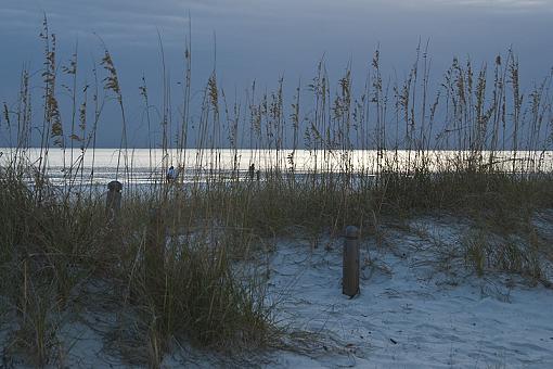 Sunset through the Sea Oats-dsc_2742.jpg