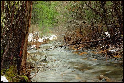 Snowy Streams-2.jpg