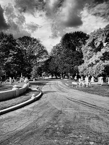 Mount Auburn Cemetery-20091010-ck100122-2-copy.jpg