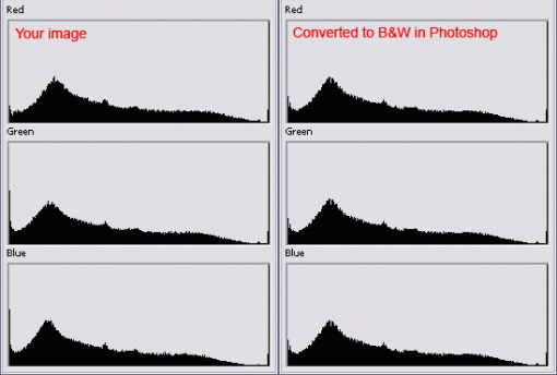 First Attempt at BW conversion-conv.gif