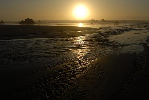 Oregon Coast-_img0505_px800.jpg