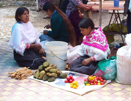 sales girl-vendedoras.jpg