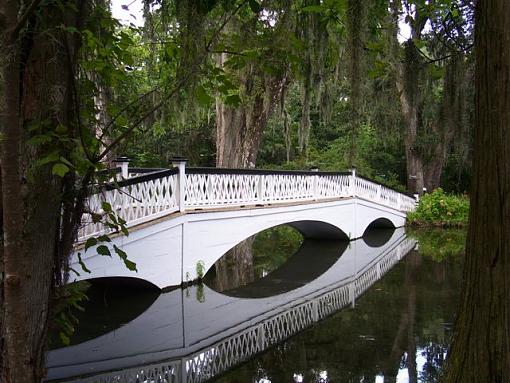 Bridge and Flower-bridge.jpg