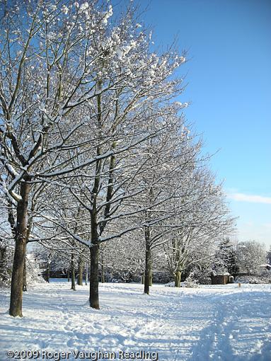 Snow in Basingstoke-dscn1251-edit.jpg