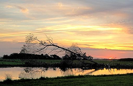 Fading light pond-pond.jpg