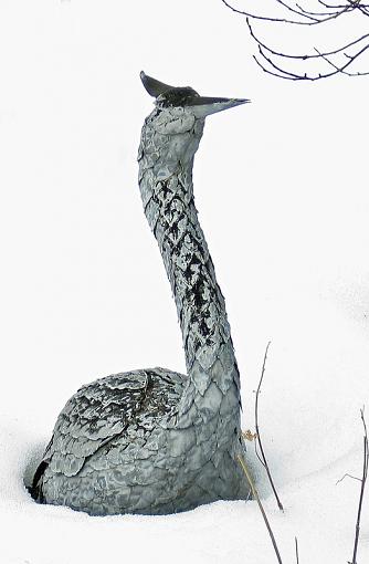 Crane in Winter-crane-winter.jpg