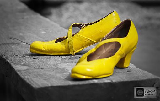 A Yellow Pair-p2280121.jpg