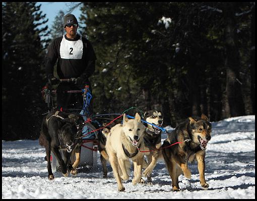 Iditarod Qualifiying Race-img_2875.jpg