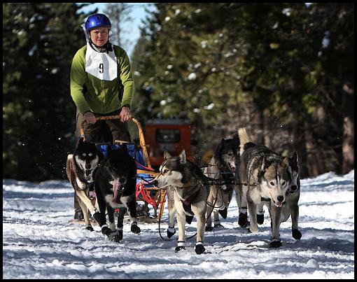 Iditarod Qualifiying Race-img_2857.jpg