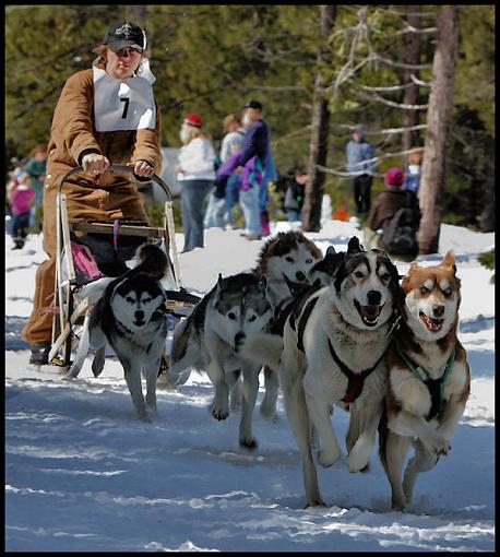 Iditarod Qualifiying Race-img_3014.jpg