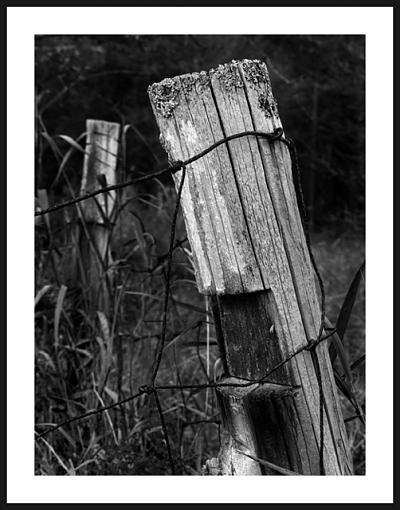 Second Attempt at Fence Post-fence-post-3.jpg