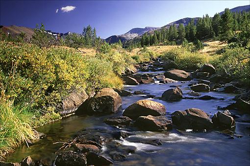 Spillway Creek - Yosemite-04-yos-spillway-creek-preview.jpg