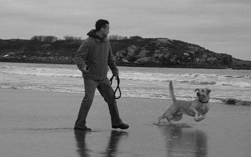 dog playing at the beach-manny_jose3_bw_altered_lowres.jpg