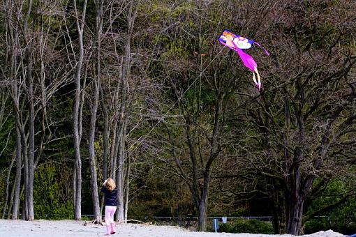 Girl and a Kite-img_3783.jpg