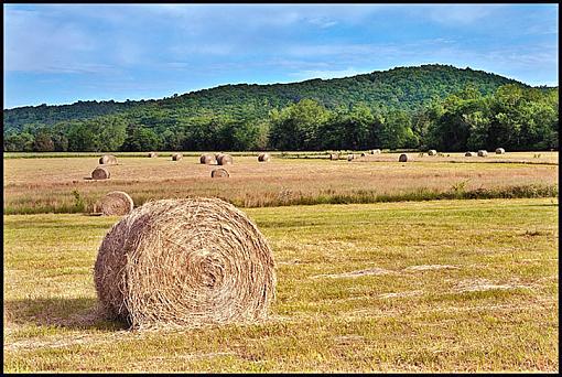 Landscape or Portrait-hay_landscape.jpg