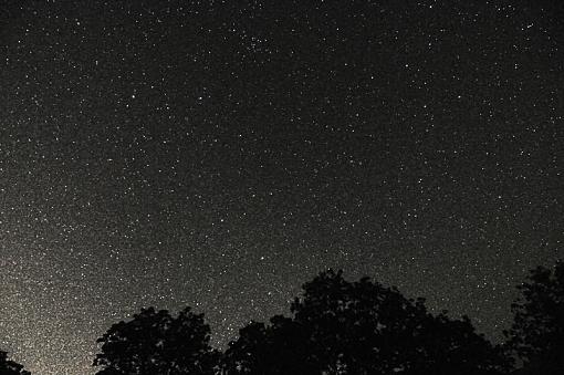 Starry night-dsc_9000-800.jpg