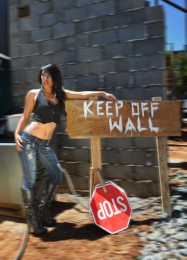 Wall Pt 2-dsc_edit2_0304_800.jpg