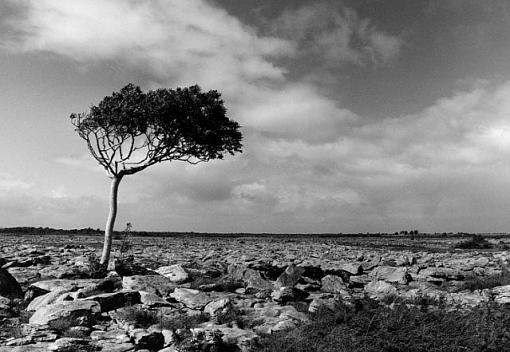 East Burren Landscape-burren.jpg