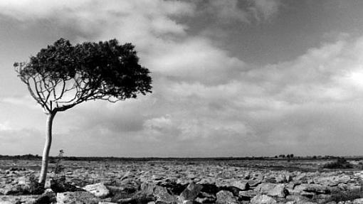 East Burren Landscape-burren1.jpg