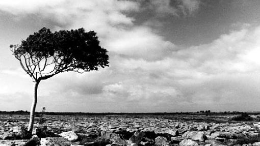 East Burren Landscape-burren2.jpg