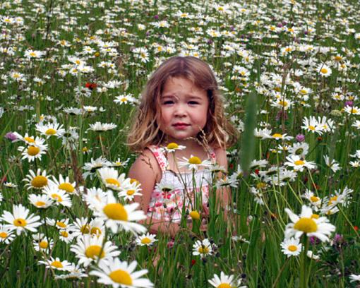 Beauty Amongst Daisies-img_3496_edited-1-1.jpg