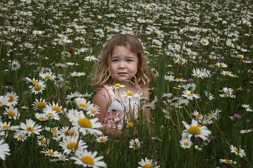 Beauty Amongst Daisies-gracie_edit_1.jpg