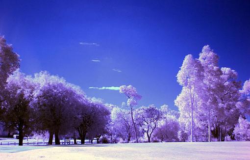 Infra red-img_0674.jpg