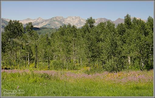 American Fork Canyon - Which Is Better?-dsc01224.jpg