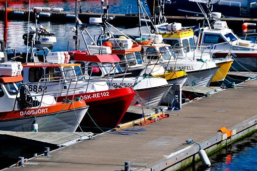 Icelandic Harbor-_dsc6590.jpg