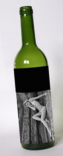 Bikini and Rocks-bottle_expt_800.jpg