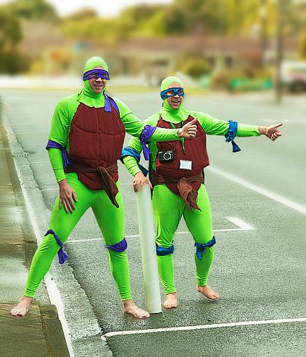 Hitchhiking Turtles-ninja8.jpg