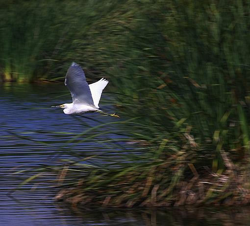 Flying Leap-0865x800.jpg